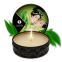 Mini bougie de massage - Zenitude Thé vert exotique