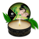 Kit Secret de Geisha - ORGANICA - Thé vert exotique
