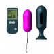 Oeuf Vibrant et Plug Genius Secret Vibe - Rose et Noir