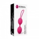 Boules de Geisha Dual Balls - Rose