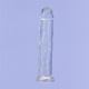 Addiction - Crystal Addiction 23cm