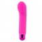 PowerBullet - Sara's Spot Vibrator 10 Function Pink