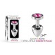Mon petit plug secret moyen - Rose