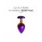 Mon petit arc-en-ciel Secret Plug 