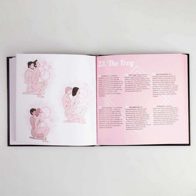 Kamasutra livre des positions - Jeu secret