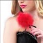 Jeu secret mini plumeau - Rouge