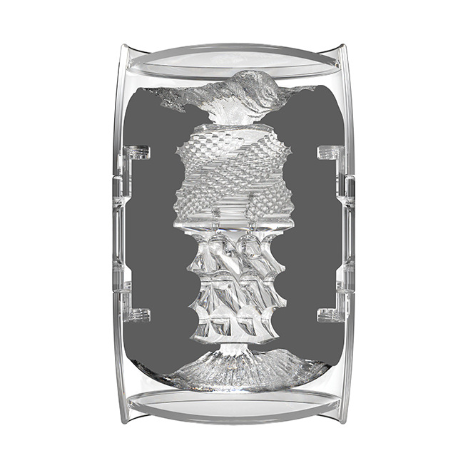 Fleshlight - Coup rapide Mia Malkova