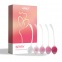 Berry - Set de 5 Boules de geisha - Rose