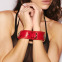 Menottes doubles Rouge