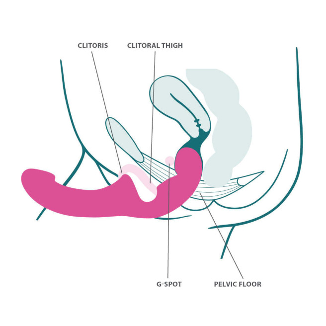 Share Lite - Gode à double extrémité - Bleu