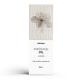 Huile de massage haute qualité - Jasmin 250ml