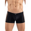 Boxer noir Daring