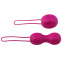 Nomi Tang - Set Boules de Geisha IntiMate Fuchsia