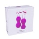 Nomi Tang - Set Boules de Geisha IntiMate Plus Violet