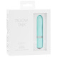 Pillow Talk - Vibromasseur Flirty Bullet Teal