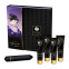 Shunga - Coffret Naughty Geisha