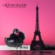 I Rub My Duckie 2.0 - Paris (Noir)