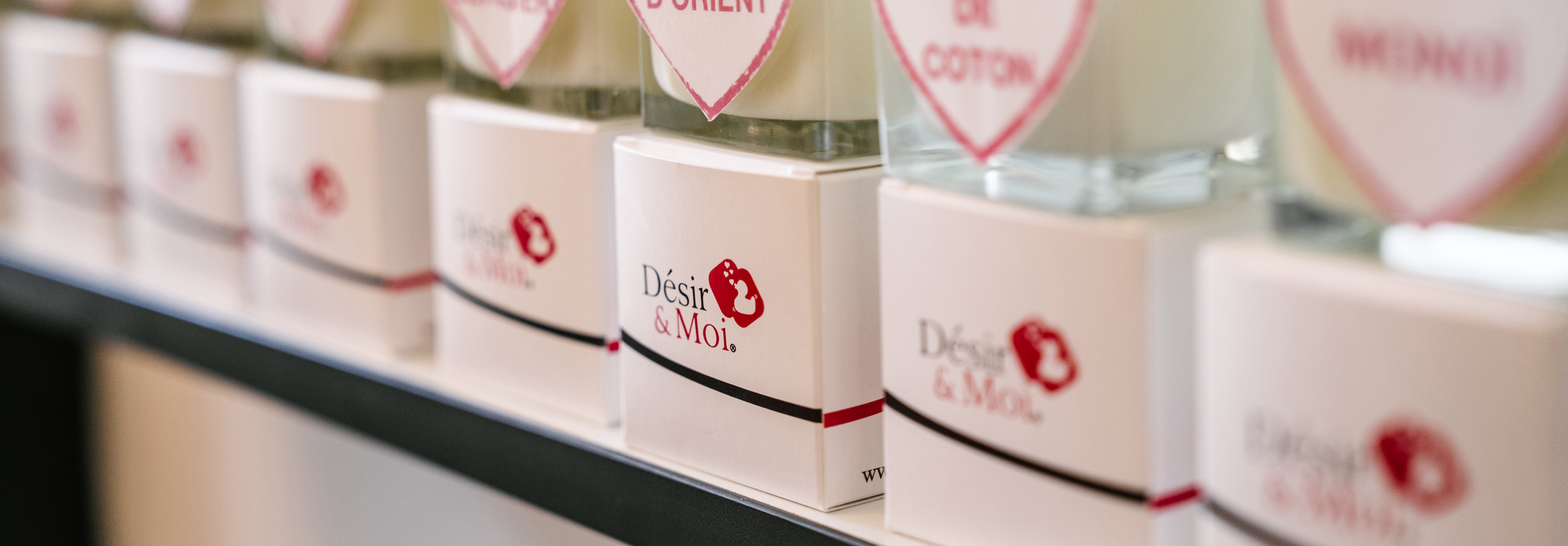 Désir & Moi société